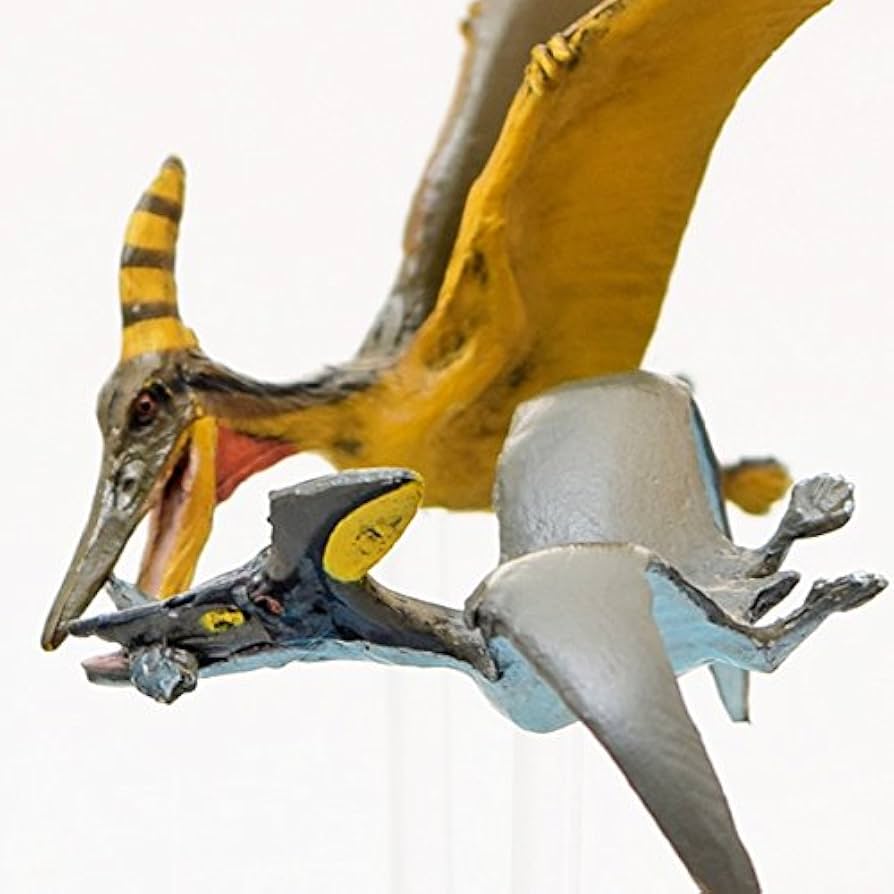 プテラノドン Amazon | プテラノドンスクランブル ミニモデル(FDW-285